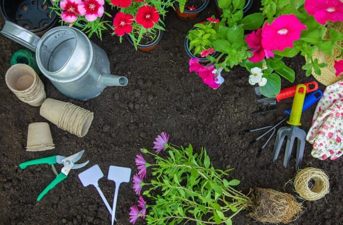 Optimisez votre jardin avec les outils essentiels : découvrez nos