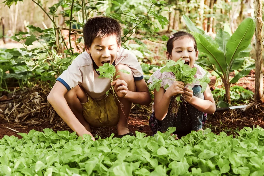 enfants mangent plantent comestibles dans le jardin